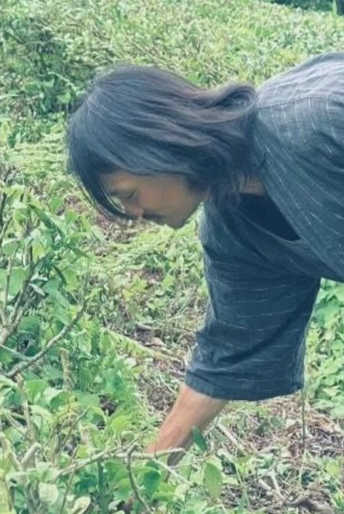 Токуя Ямазакі — фермер, який повернув чай природі