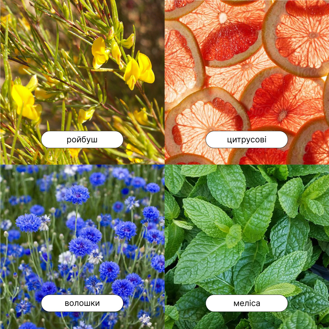 Як смакує чай Цитрусова Ферма від Matcher.store