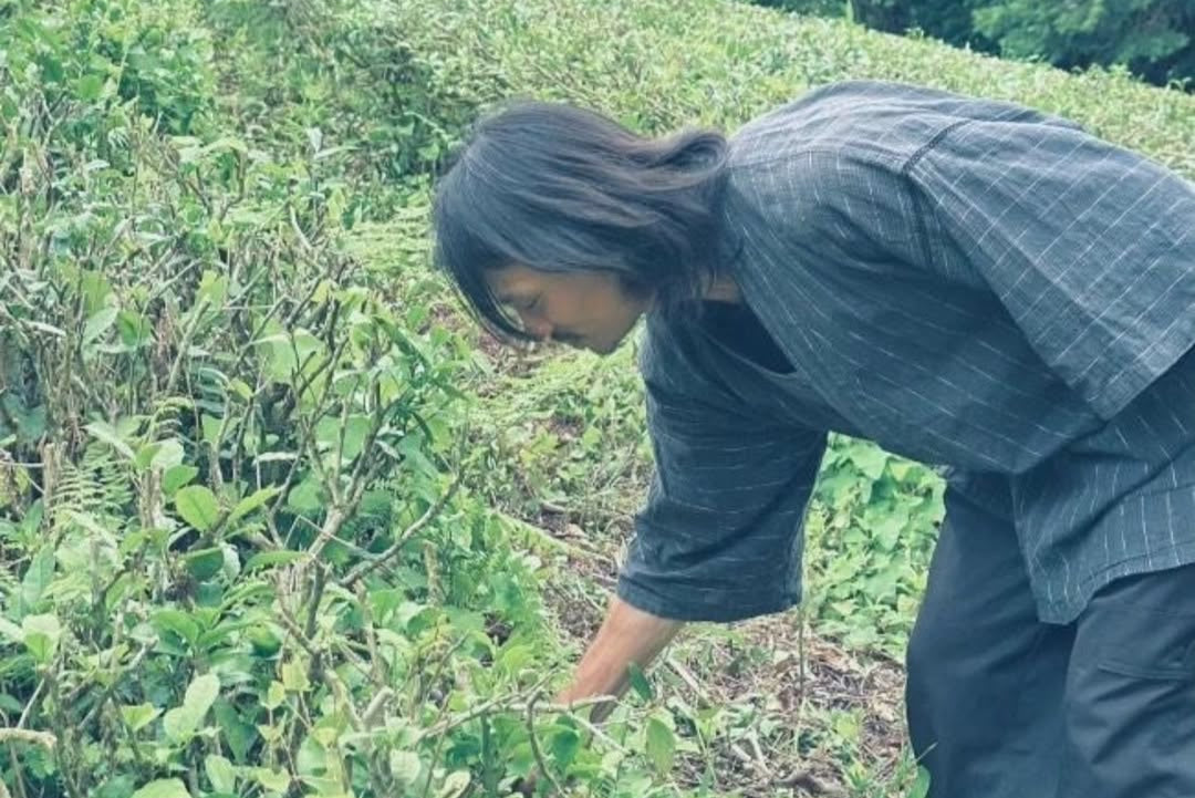Токуя Ямазакі — фермер, який повернув чай природі