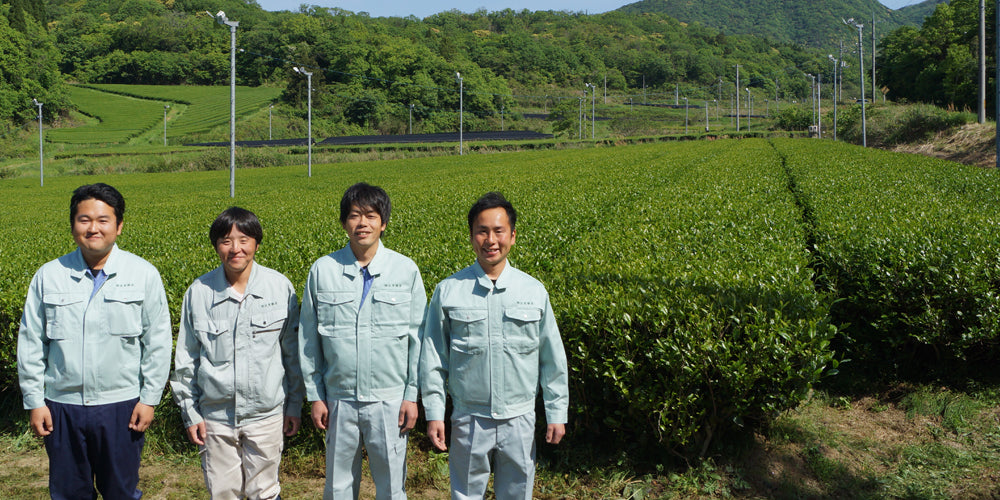 Дефіцит матча в 2024 році: проблеми з урожаєм і доставкою чаю з Японії