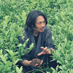 Токуя Ямазакі